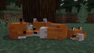 Foxes (Image via Minecraft)